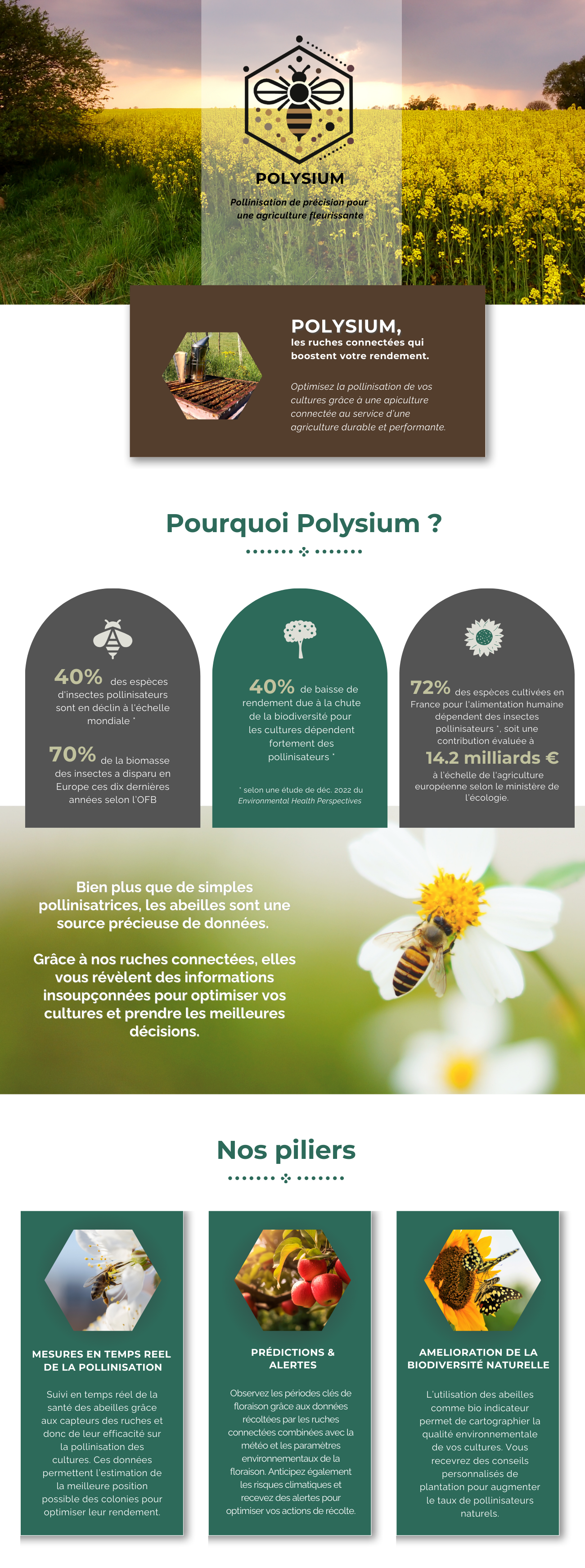 Polysium - Design
