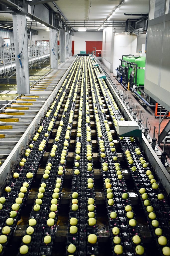 industrie agro alimentaire de fruits pollino-dépendants